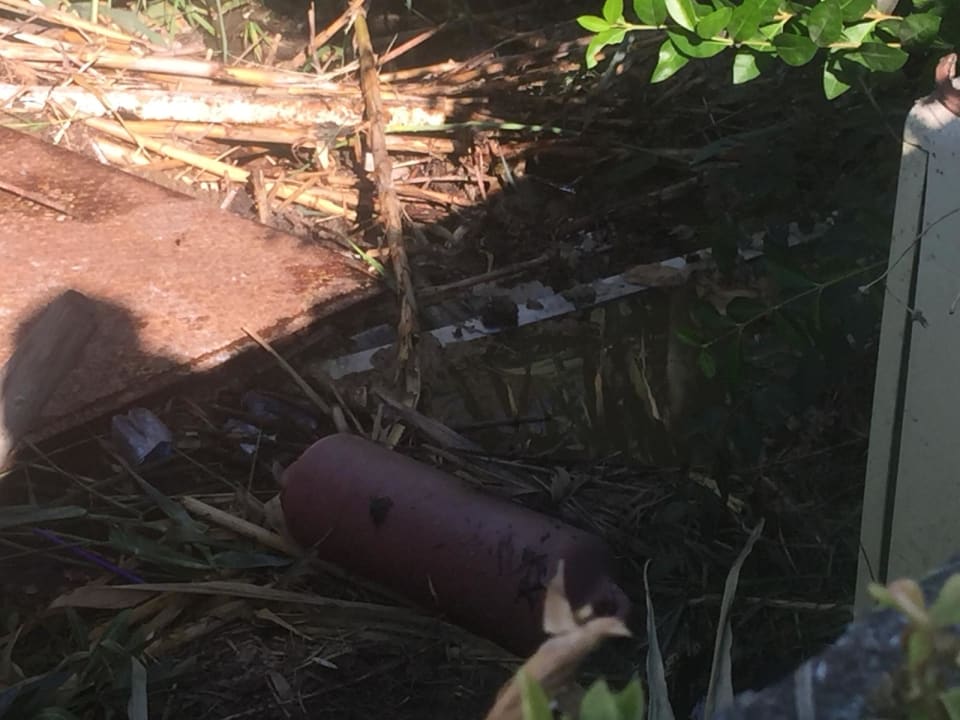 Garten Asteria Bloom Side