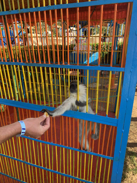 Gartenanlage Riviera Aqua Park Resort