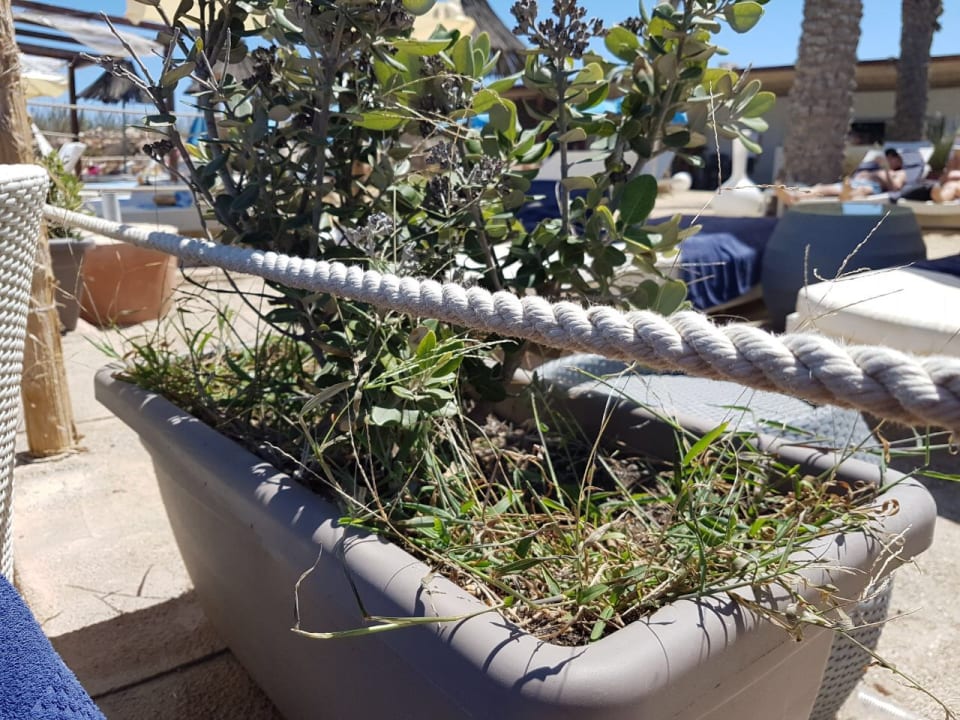 Sonstiges Riviera Spa Resort - Adults Only