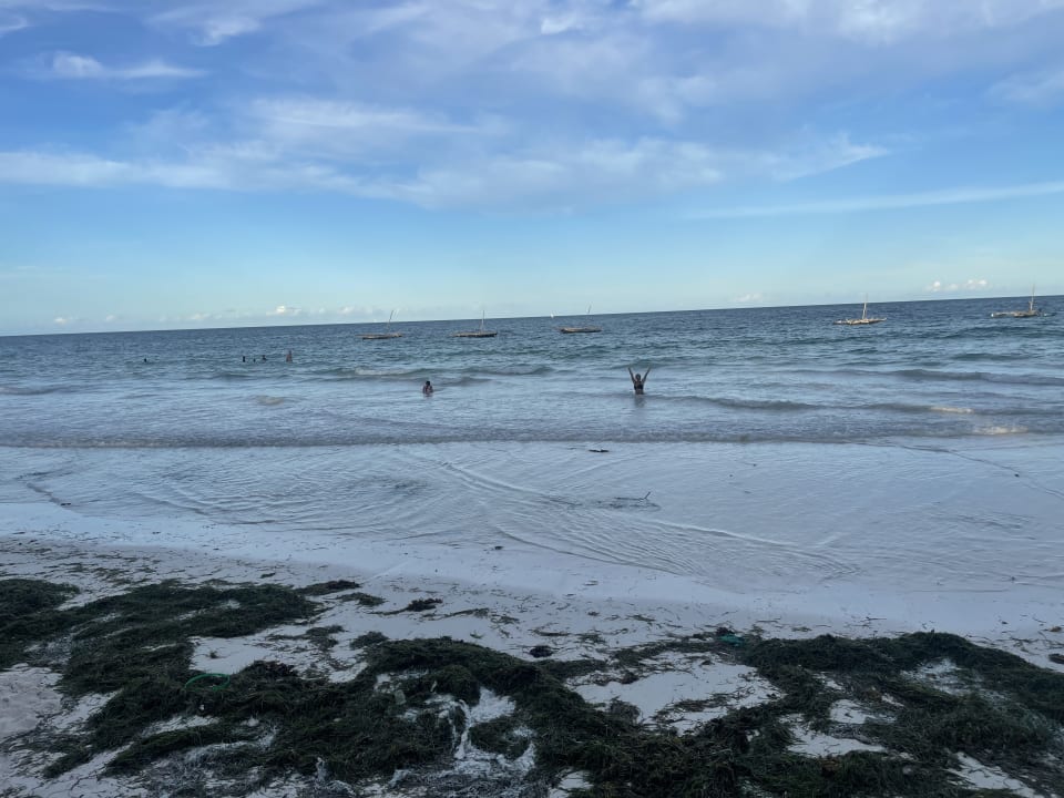 Strand Neptune Palm Beach Boutique Resort & Spa