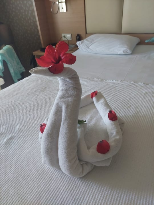 Zimmer Hotel Royal Garden Beach