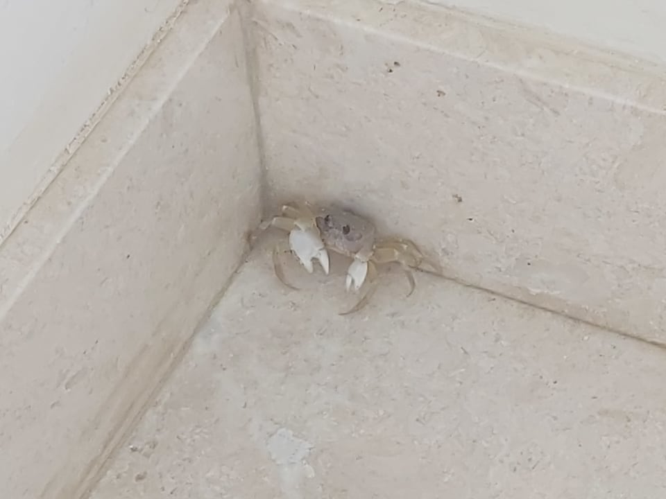 Sonstiges Salalah Rotana Resort