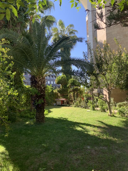 Gartenanlage Trendy Palm Beach (Adults Only, 16+)