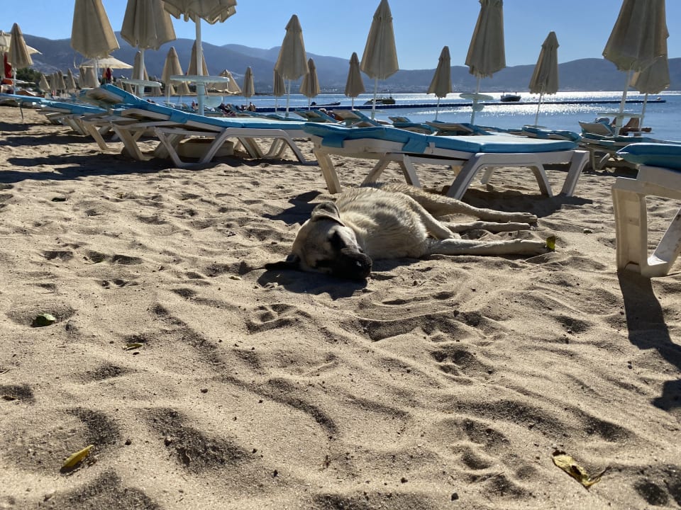 Strand Hotel The Holiday Resort