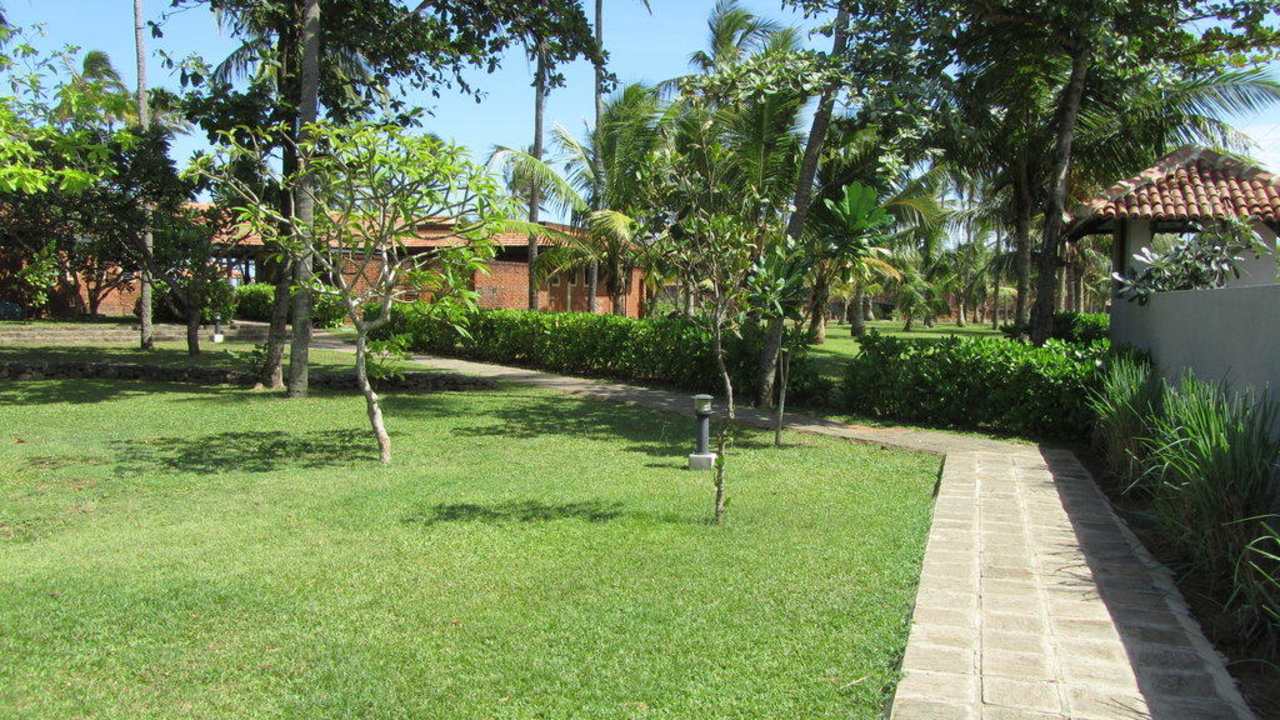 Bereich um den Ruhepool  Club Hotel Dolphin