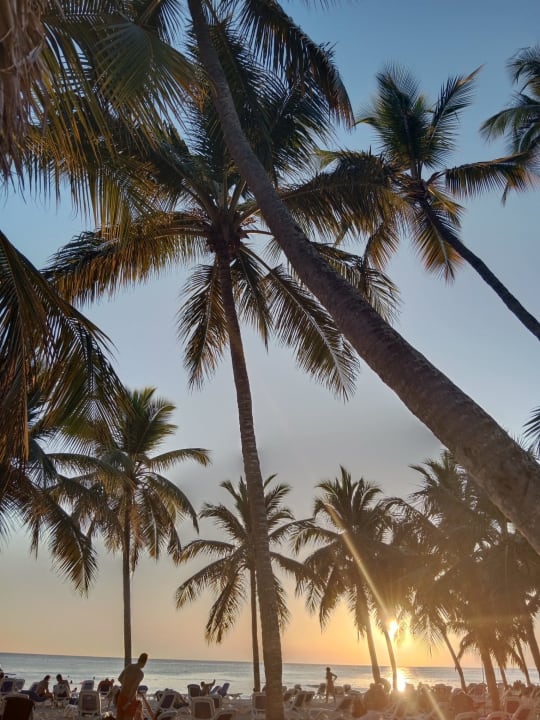 Strand Hotel Viva Dominicus Beach by Wyndham - All Inclusive Resort