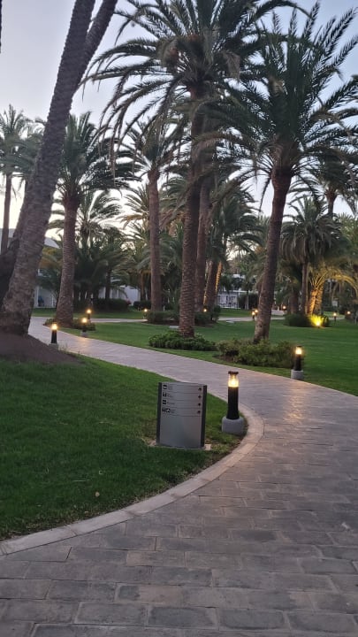 Gartenanlage Hotel Riu Palace Oasis