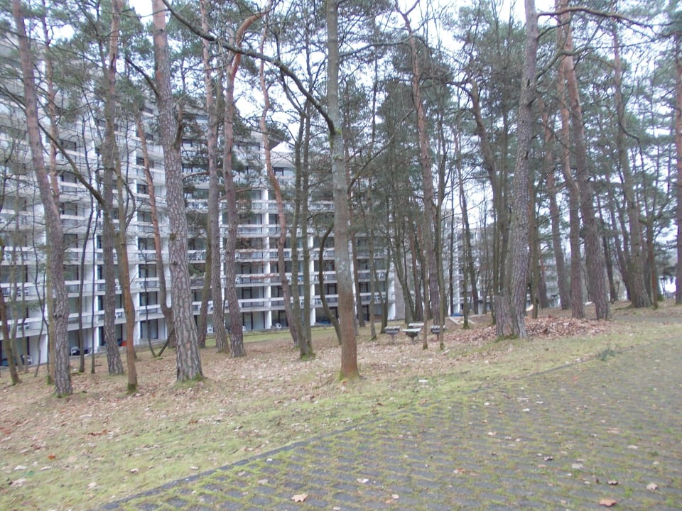 Hotel von aussen vom Garten Hotel Sonnenhügel