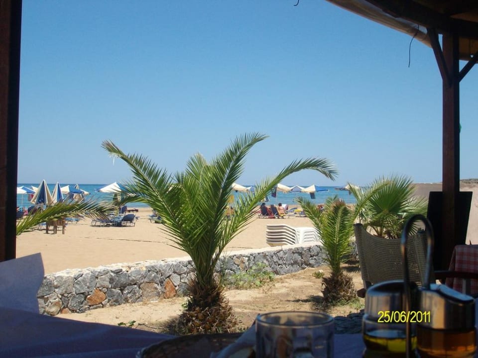 Blick von der Strandbar Delfina Tropic Beach