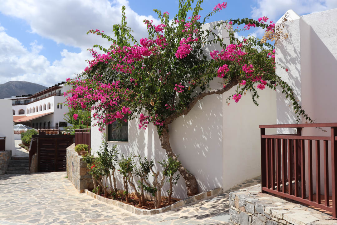 Zimmer Creta Maris Resort