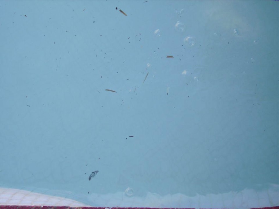 Der klene Pool Aparthotel Vibra Club Maritim