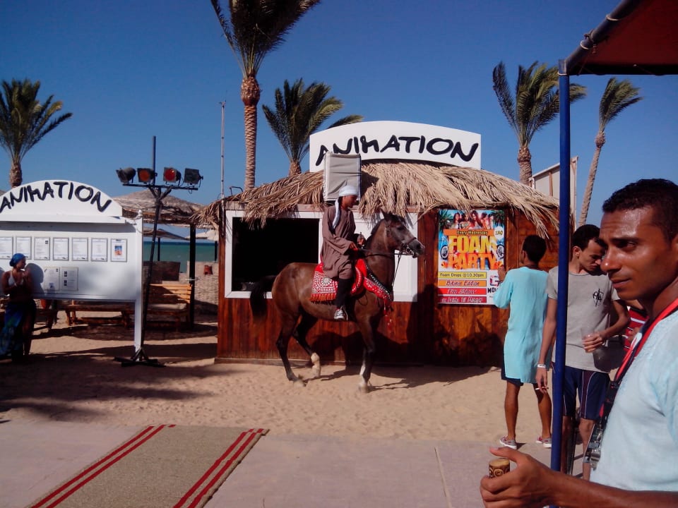 Action am Strand Golden Beach Resort