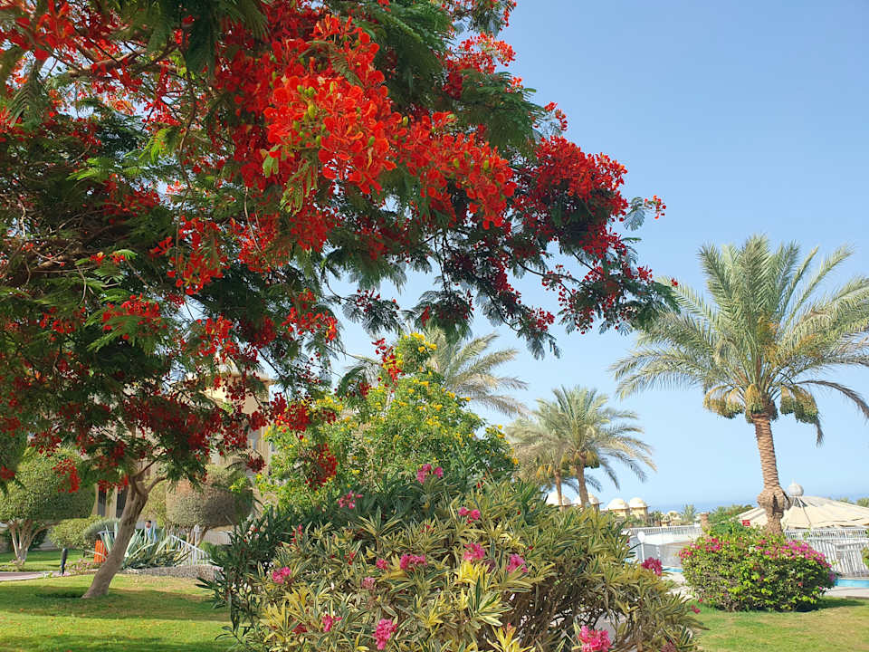 Gartenanlage Serenity Alpha Beach