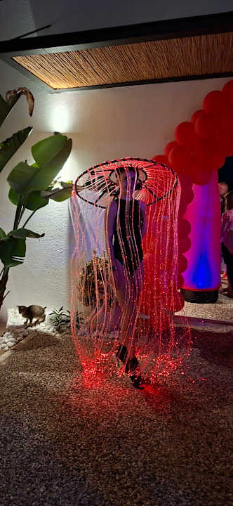 Sonstiges Seashell Vega