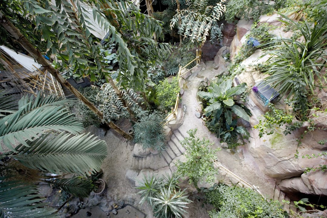 Sport & Freizeit Center Parcs De Vossemeren