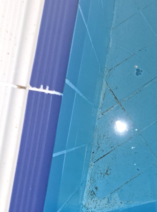 Pool Papillon Ayscha