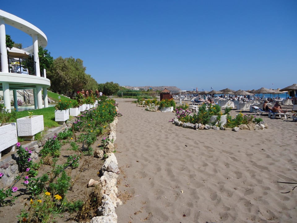 Gepflegter Übergang Hotel-Garten zum Strand Hotel Calypso Beach