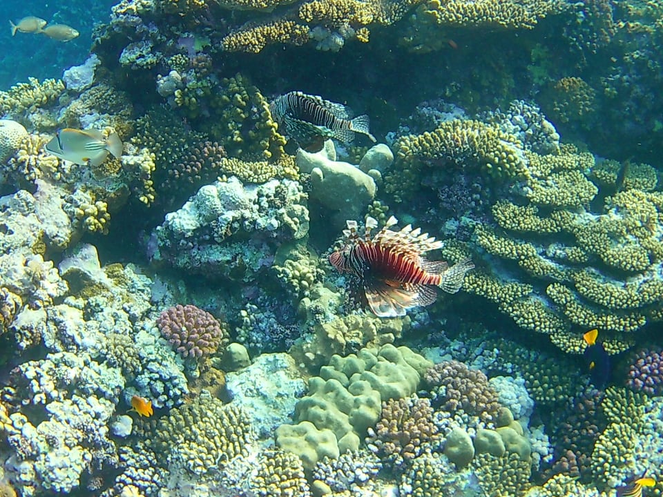 Strand Casa Mare Resort