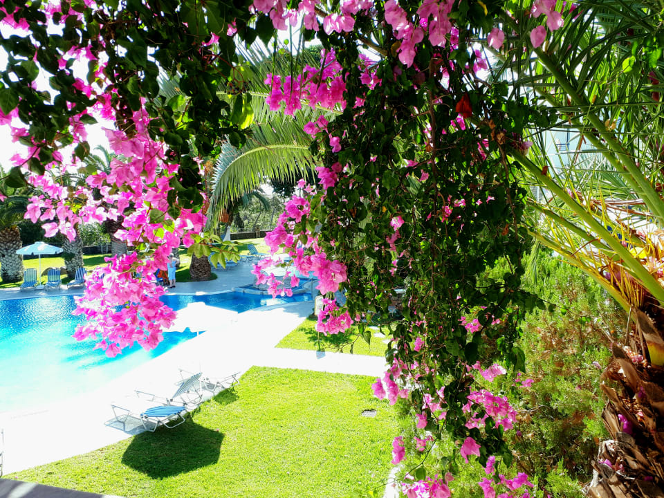 Ausblick Ekaterini Hotel