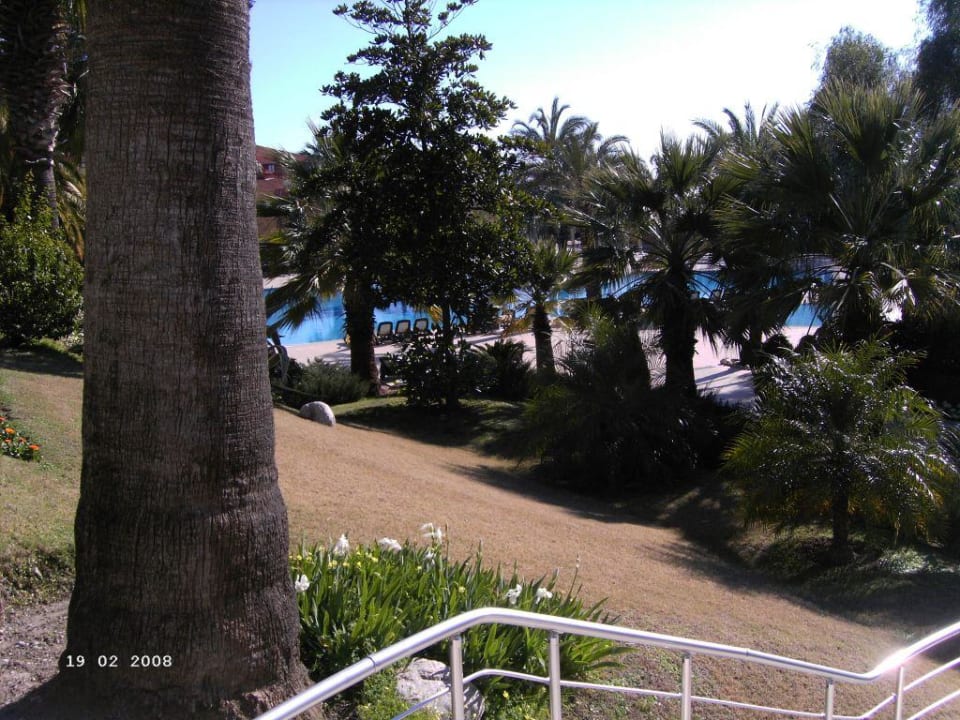 Park Side Star Elegance