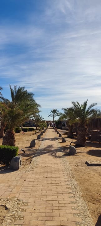Gartenanlage Club Paradisio El Gouna, Red Sea