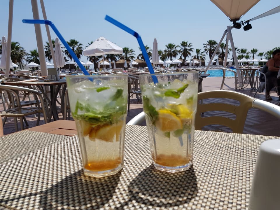 Gastro Paloma Oceana