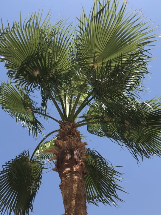 Strand SUNRISE Crystal Bay Resort