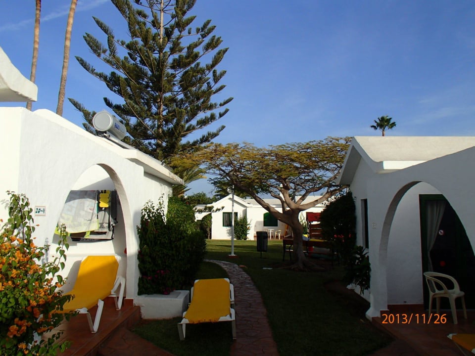 Auch Kinder waren hier   Canary Garden Club