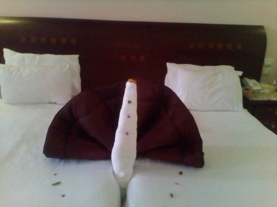 Täglich neu Shams Prestige Abu Soma-Adults Only