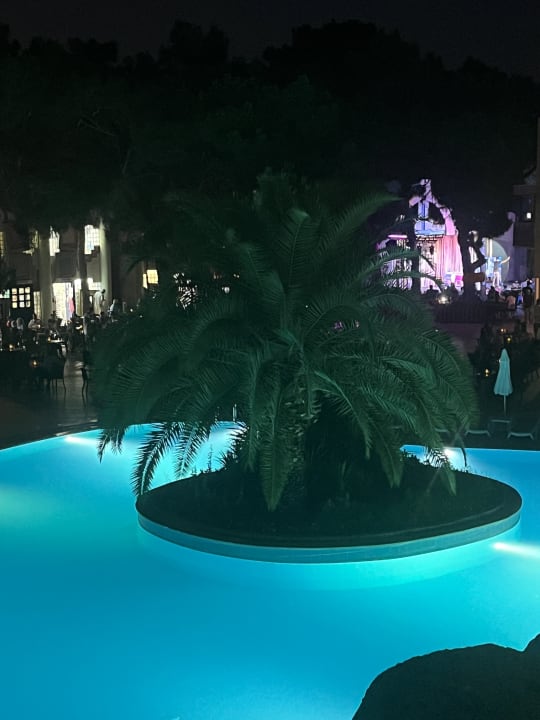 Pool Blue Waters Club