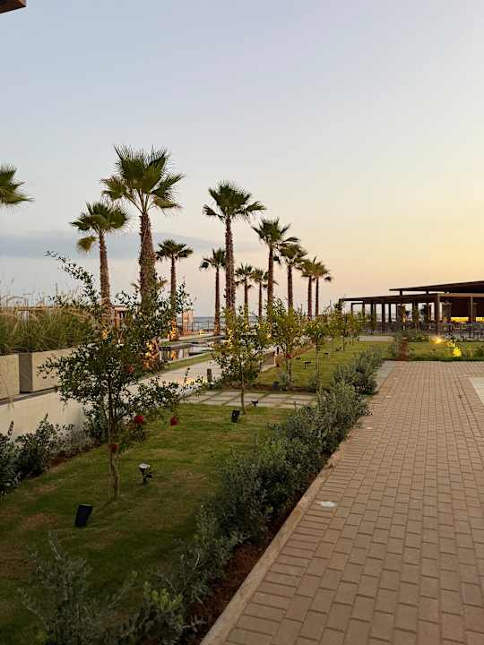 Gartenanlage allsun Hotel Carolina Mare