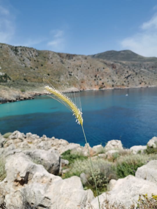 Strand Orpheas Resort - Adults Only