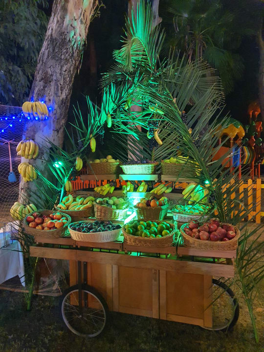 Gartenanlage Megasaray Resort Side