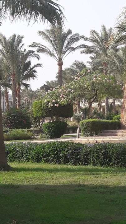 Gartenanlage Brayka Bay Resort