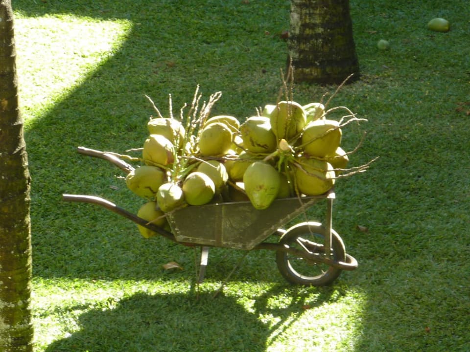 Ernte Victoria Beachcomber Resort & Spa