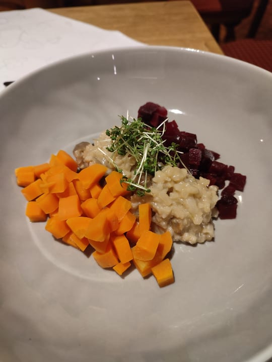 Gastro Hotel Kitzspitz