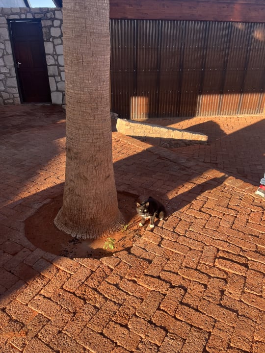 Sonstiges Kalahari Anib Lodge