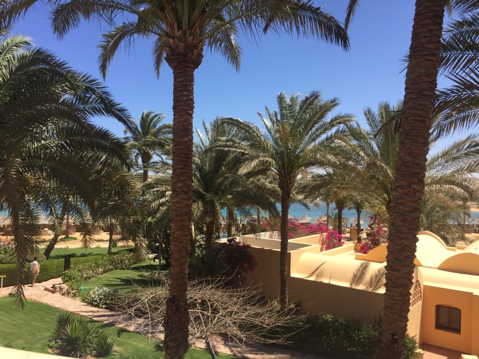 Ausblick Steigenberger Coraya Beach - Adults only