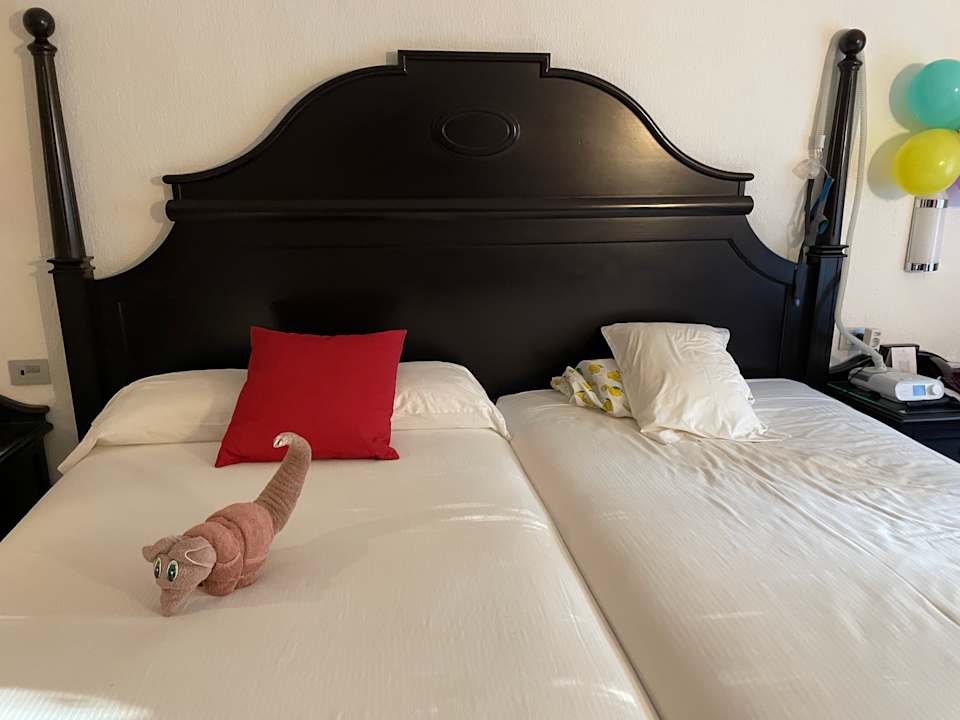 Zimmer Hotel Riu Tequila