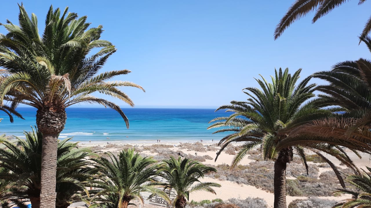 Strand SBH Monica Beach Resort