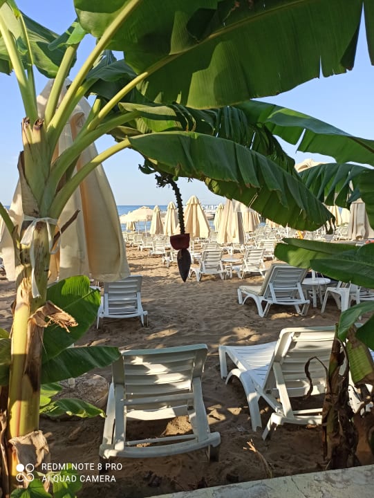 Strand Seaden Corolla Hotel