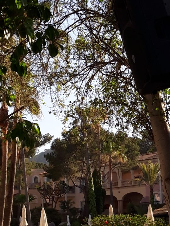 Gartenanlage R2 Lago Playa Park