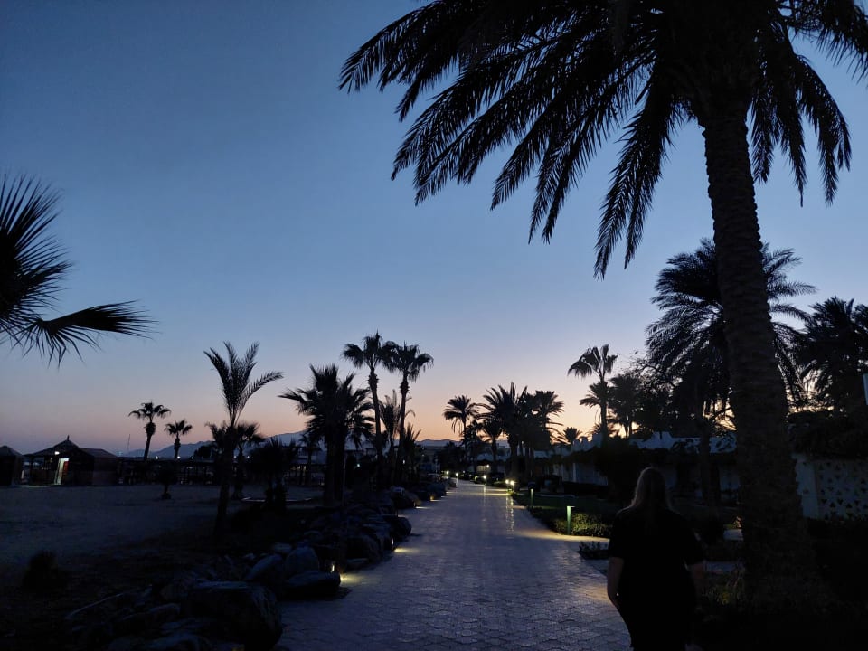 Gartenanlage Shams Prestige Abu Soma-Adults Only