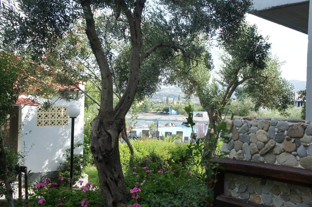 Gartenanlage Hotel Venus Beach