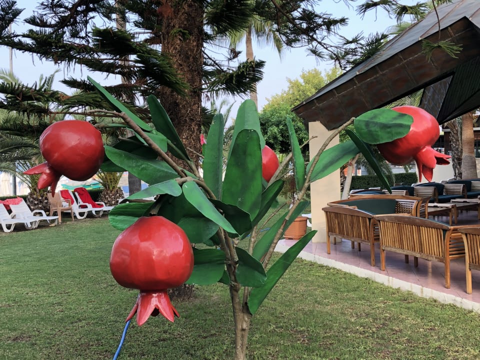 Gartenanlage Nerton Hotel - Erwachsenenhotel ab 16 Jahren