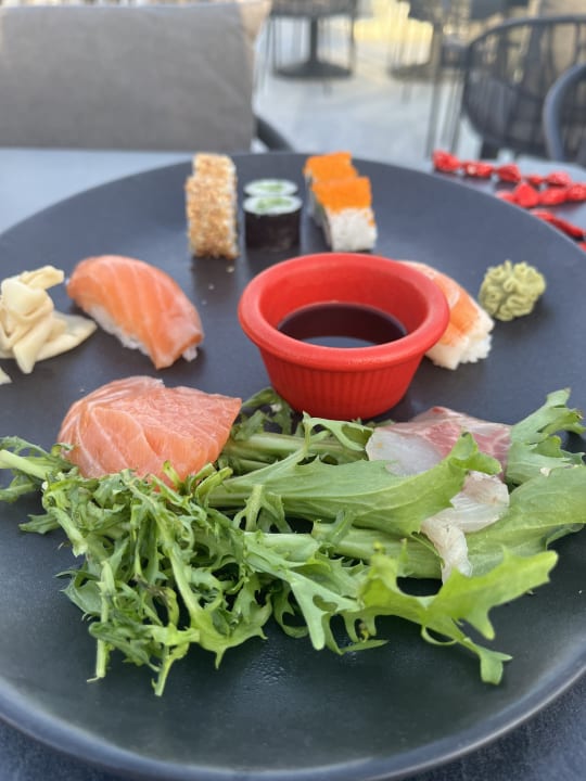 Gastro Paloma Oceana