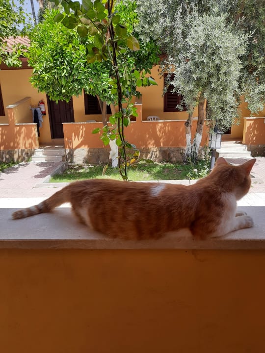 Sonstiges Özlem Garden Hotel