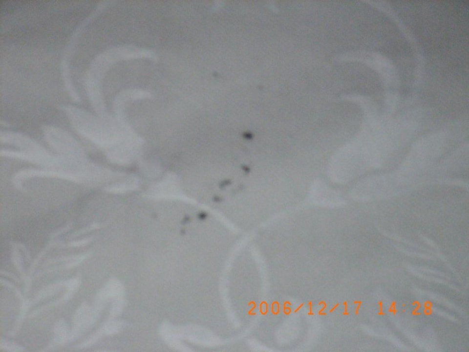 Bettwäsche LABRANDA Marieta - Adults only