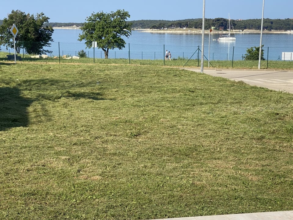 Ausblick Strandvilla Aurora