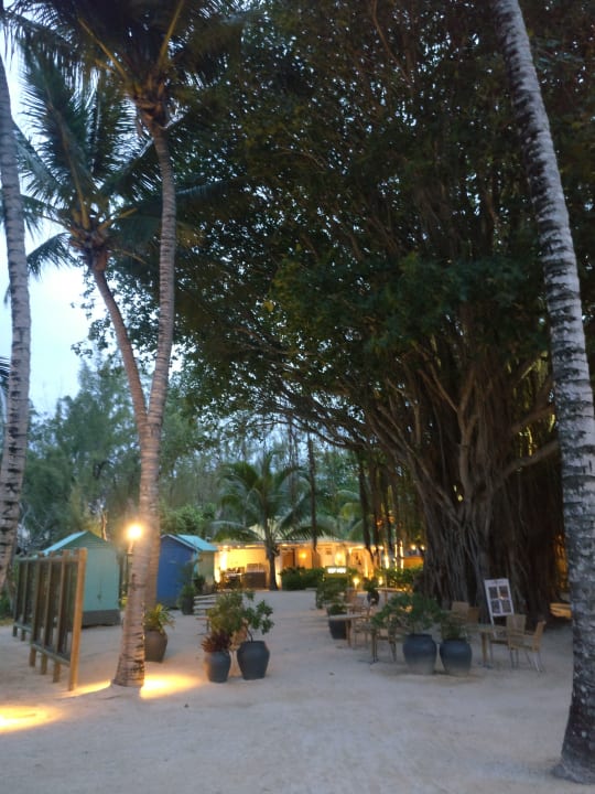 Gartenanlage Lagoon Attitude - Adults only